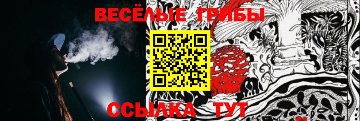 Сланцы  Псилоцибиновые грибы Cubensis  Вход с VPN 